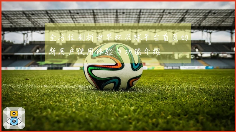 全方位剖析世界杯买球平台首页的新用户使用体验与功能介绍