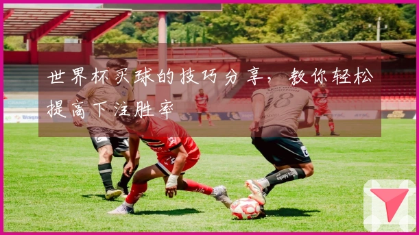 世界杯买球的技巧分享，教你轻松提高下注胜率