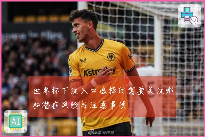 世界杯下注入口选择时需要关注哪些潜在风险与注意事项