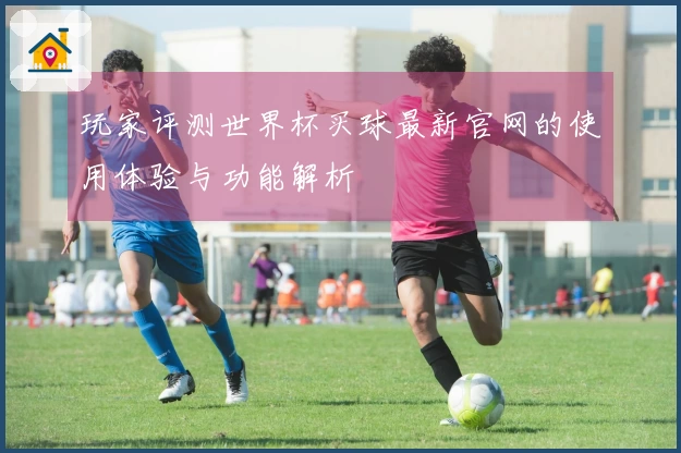玩家评测世界杯买球最新官网的使用体验与功能解析