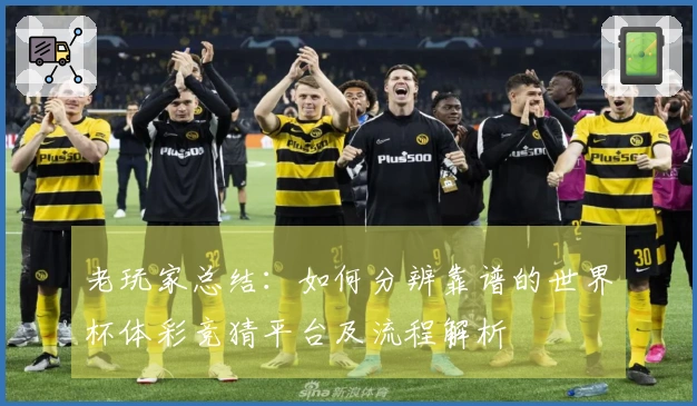 老玩家总结：如何分辨靠谱的世界杯体彩竞猜平台及流程解析