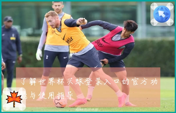 了解世界杯买球登录入口的官方功能与使用指导