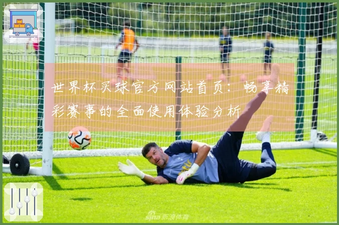 世界杯买球官方网站首页：畅享精彩赛事的全面使用体验分析