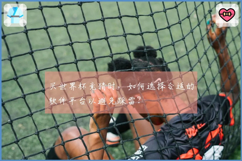 买世界杯竞猜时，如何选择合适的软件平台以避免踩雷？