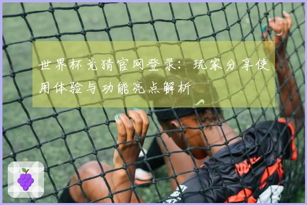 世界杯竞猜官网登录：玩家分享使用体验与功能亮点解析