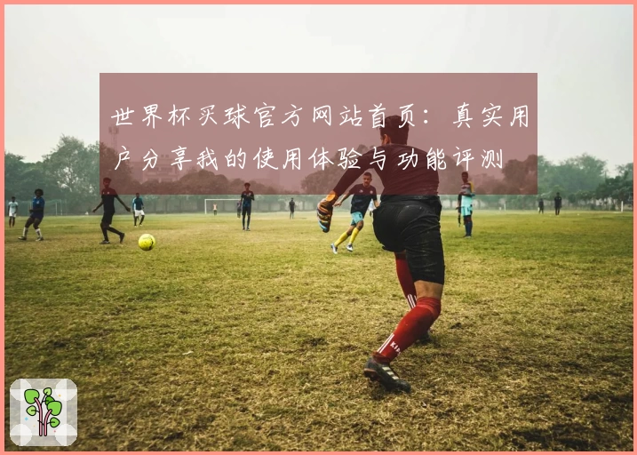 世界杯买球官方网站首页：真实用户分享我的使用体验与功能评测