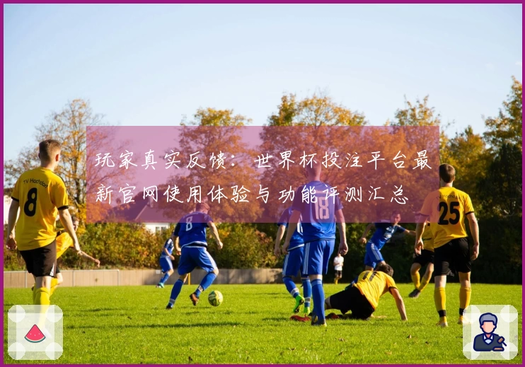 玩家真实反馈：世界杯投注平台最新官网使用体验与功能评测汇总