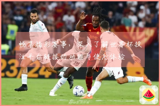 畅享精彩赛事，深入了解世界杯投注平台链接的功能与使用体验