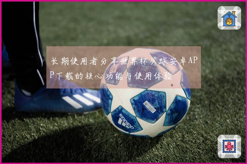 长期使用者分享世界杯买球安卓APP下载的核心功能与使用体验